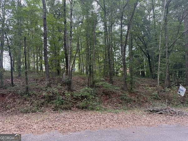 1 Acre of Land for Sale in Thomaston, Georgia