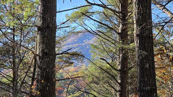 38.6 Acres of Recreational Land for Sale in Copperhill, Tennessee