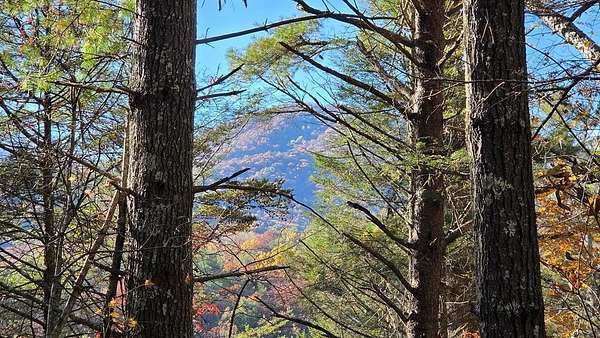 38.6 Acres of Recreational Land for Sale in Copperhill, Tennessee