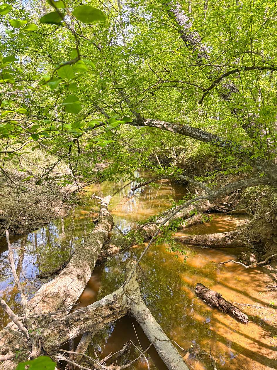 88.4 Acres of Recreational Land for Sale in Fordyce, Arkansas