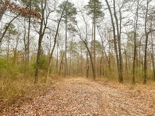 39 Acres of Recreational Land for Sale in Gurdon, Arkansas