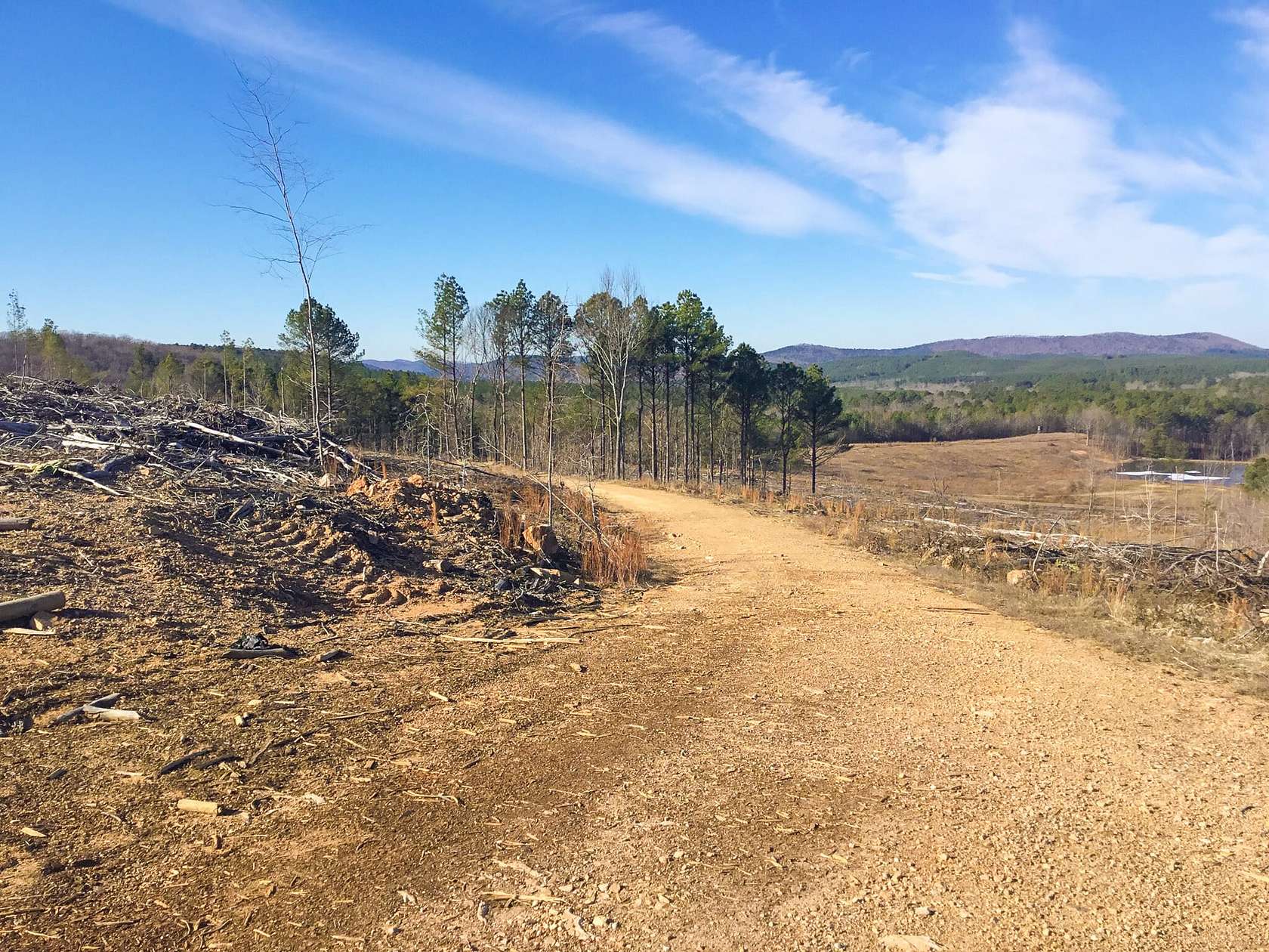 205 Acres of Recreational Land for Sale in Mountain Pine, Arkansas