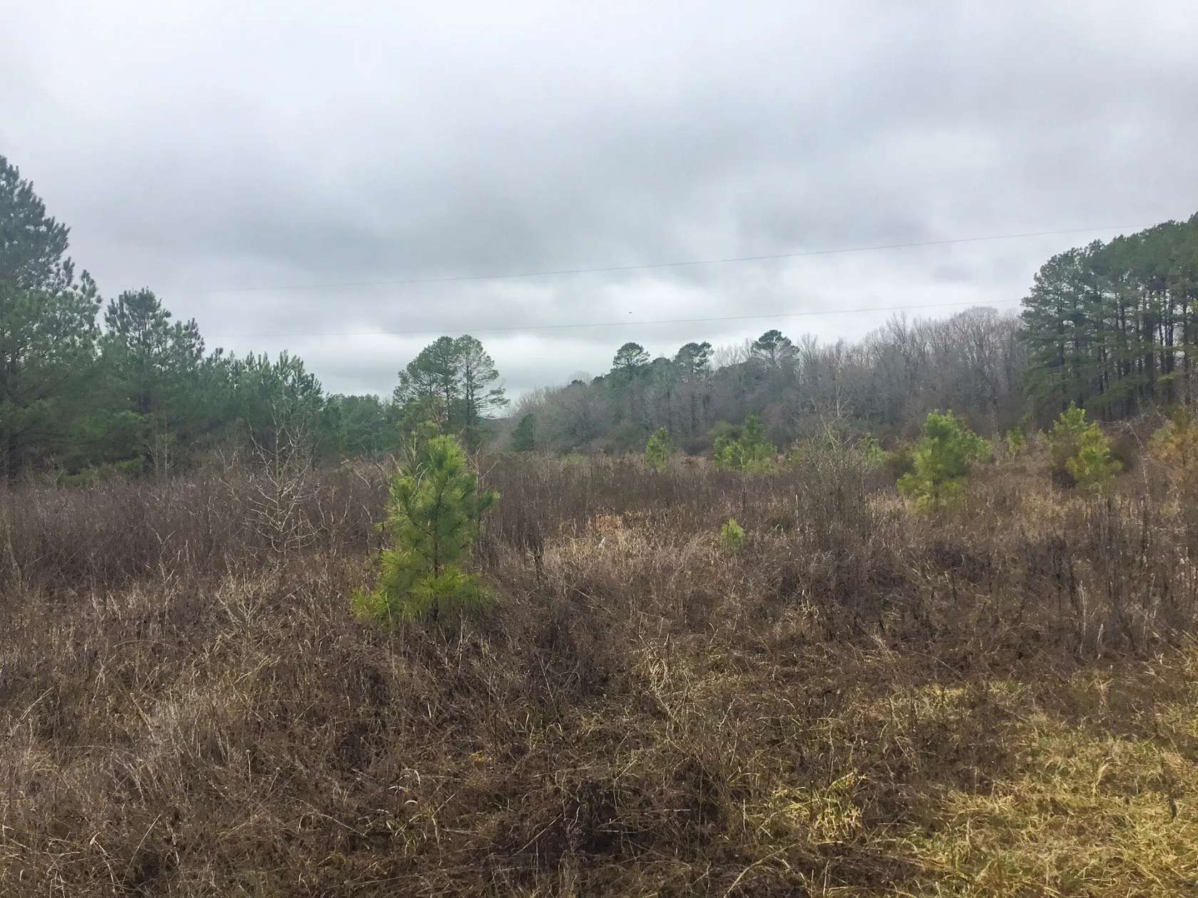 95.9 Acres of Recreational Land for Sale in Hot Springs, Arkansas