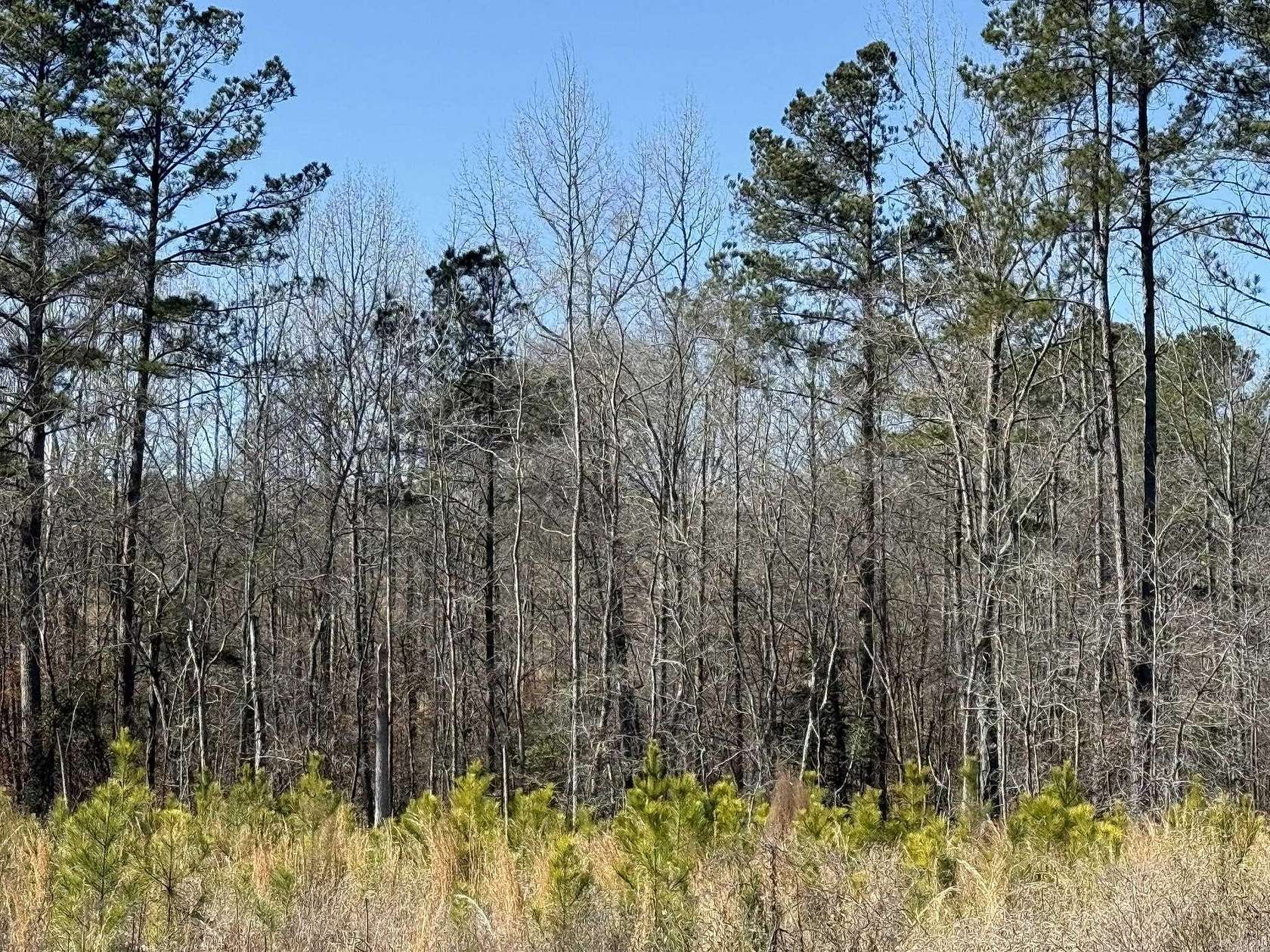 80 Acres of Recreational Land for Sale in Blevins, Arkansas