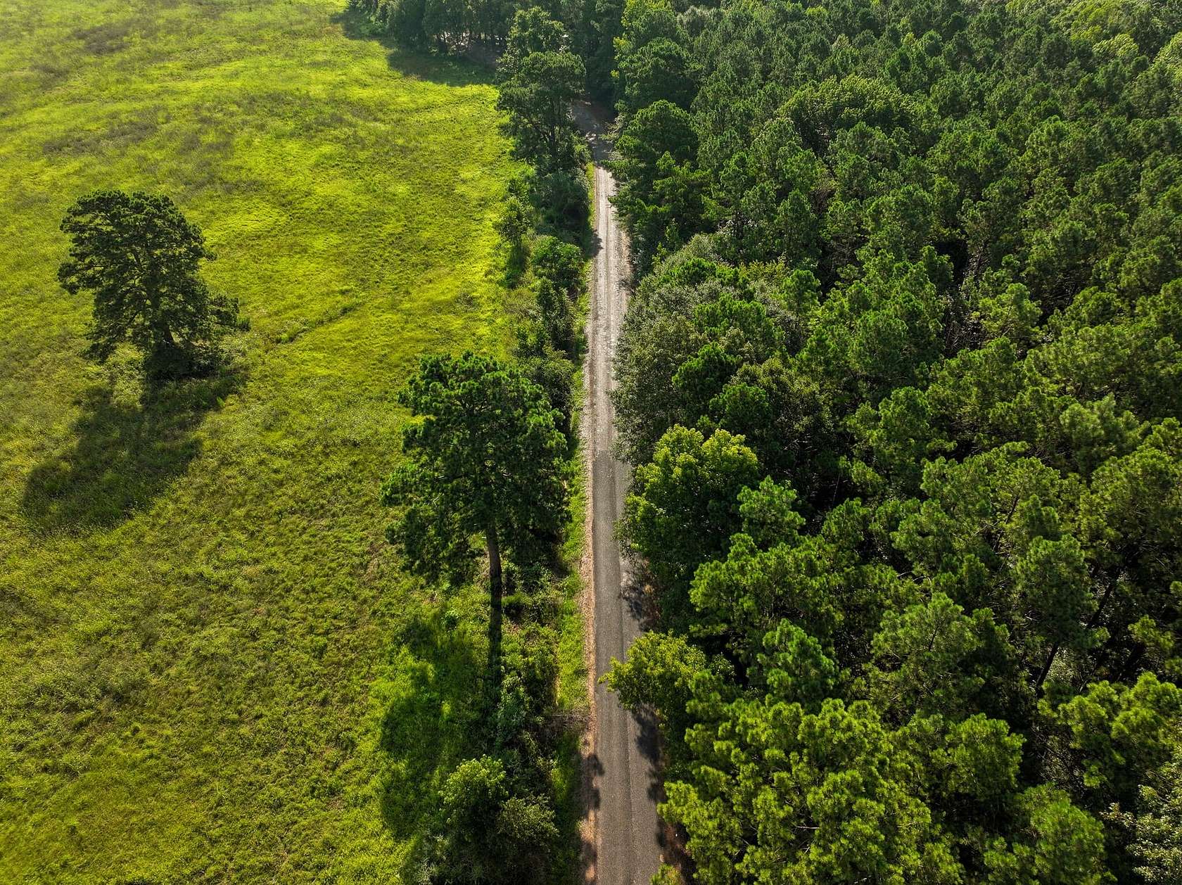 80 Acres of Recreational Land for Sale in Hope, Arkansas