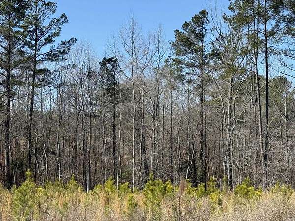 80 Acres of Recreational Land for Sale in Blevins, Arkansas