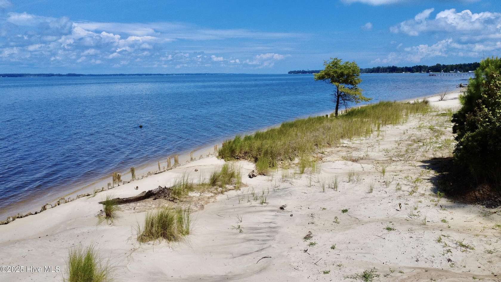 108 Acres of Land for Sale in Blounts Creek, North Carolina