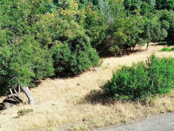 0.17 Acres of Residential Land for Sale in Kelseyville, California