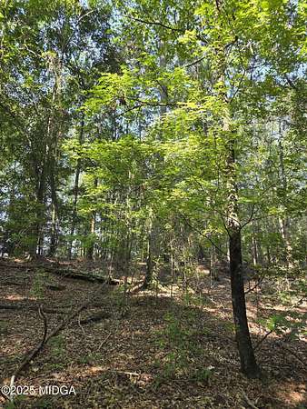 4.17 Acres of Residential Land for Sale in Macon, Georgia