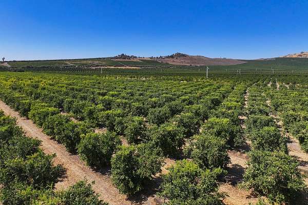 27.2 Acres of Agricultural Land for Sale in Dinuba, California