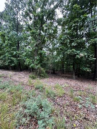 4 Acres of Land for Sale in Linn Creek, Missouri