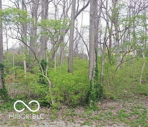 0.29 Acres of Residential Land for Sale in Indianapolis, Indiana