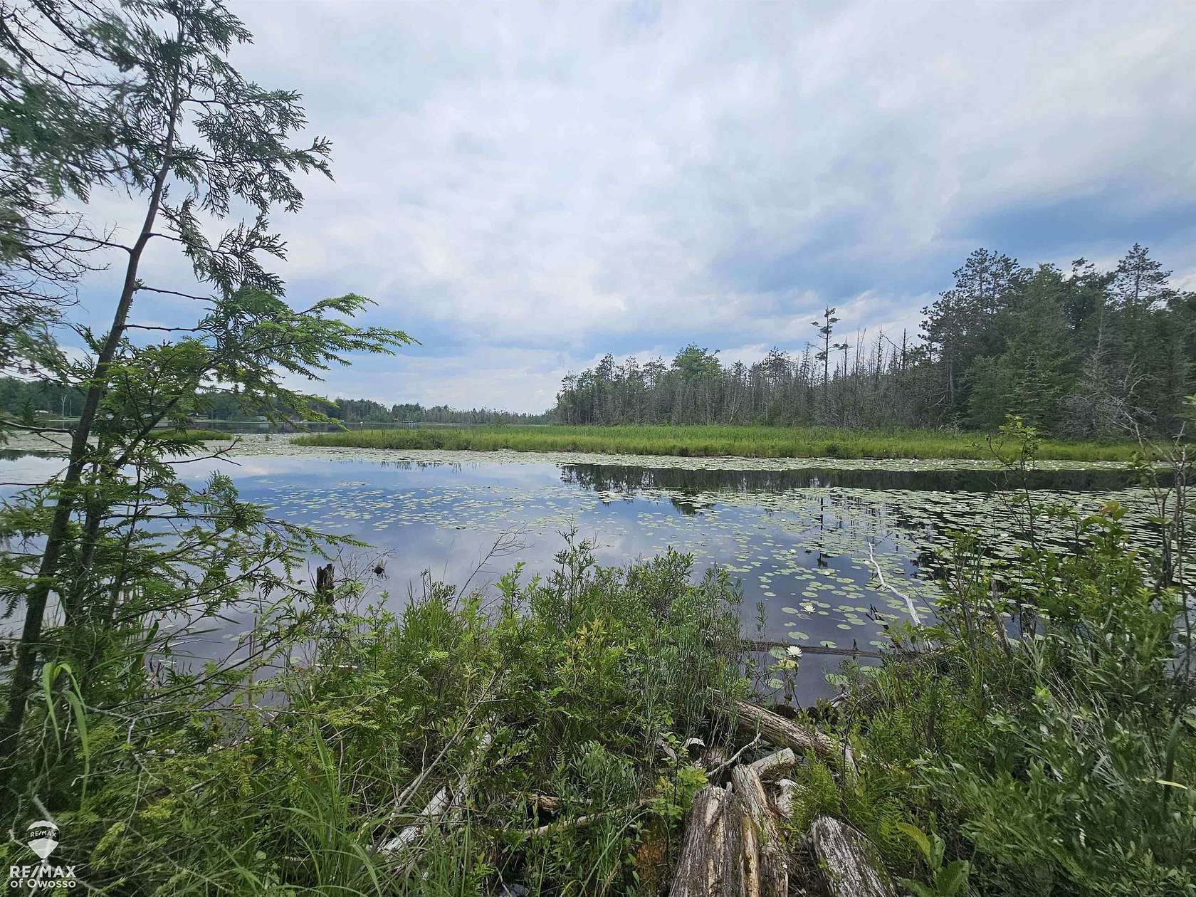 1.17 Acres of Residential Land for Sale in Millersburg, Michigan