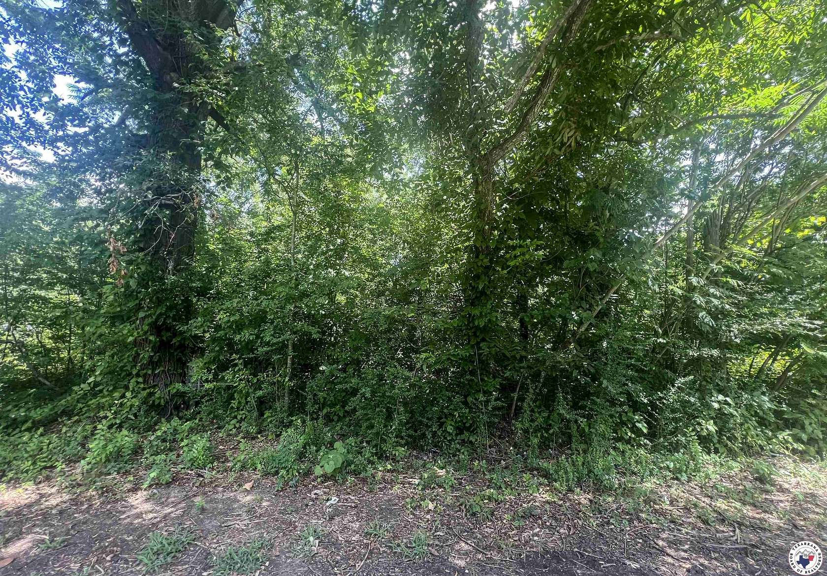 0.34 Acres of Residential Land for Sale in New Boston, Texas