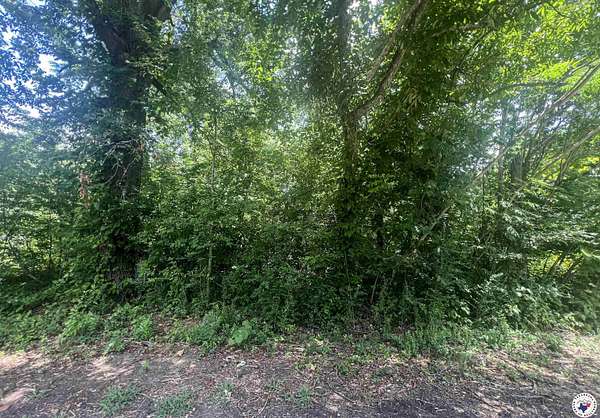 0.34 Acres of Residential Land for Sale in New Boston, Texas