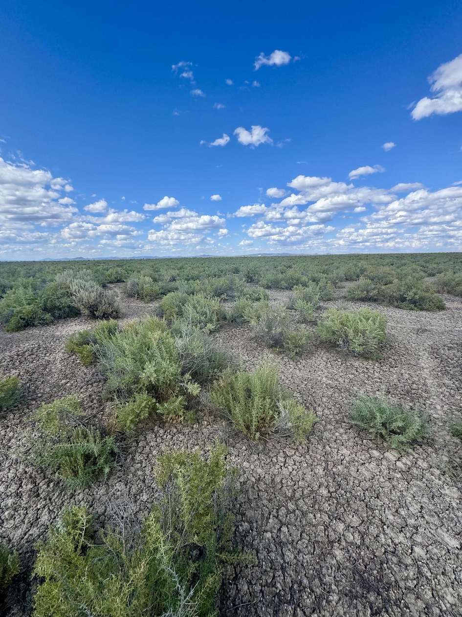 20 Acres of Land for Sale in Christmas Valley, Oregon