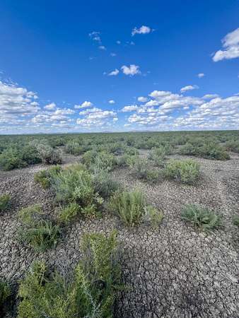 20 Acres of Land for Sale in Christmas Valley, Oregon
