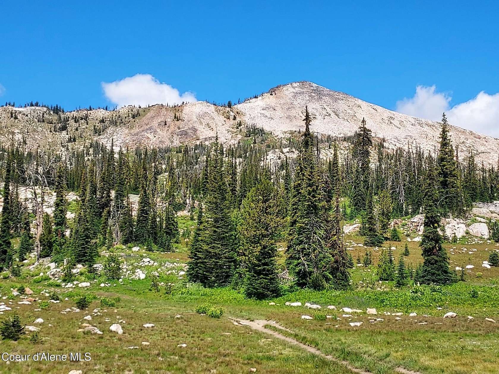 5 Acres of Land for Sale in Orogrande, Idaho