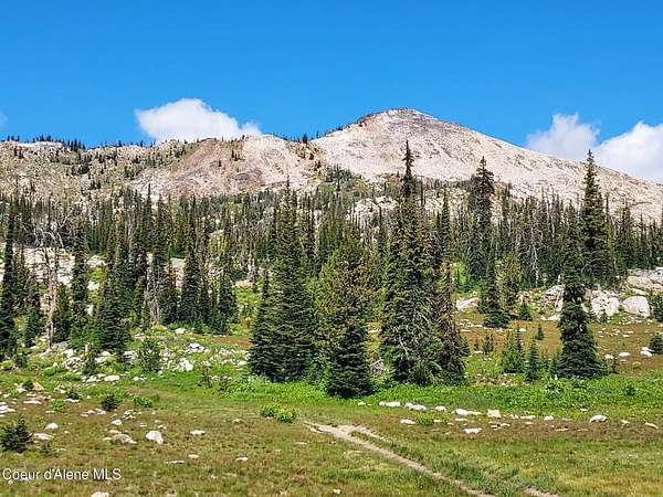 5 Acres of Land for Sale in Orogrande, Idaho