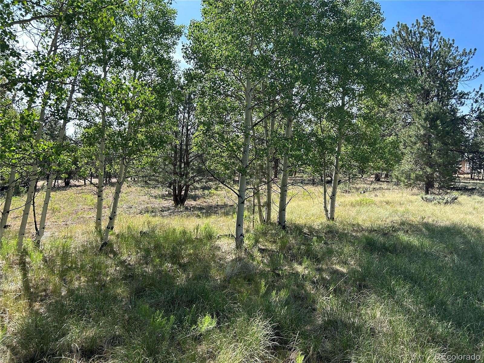 2.5 Acres of Residential Land for Sale in Hartsel, Colorado