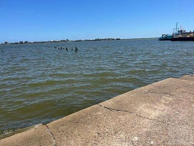 0.19 Acres of Improved Residential Land for Sale in Galveston, Texas