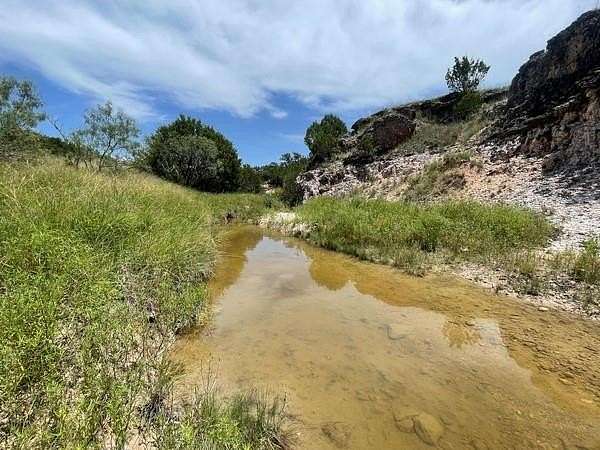 43.4 Acres of Recreational Land for Sale in Goldthwaite, Texas
