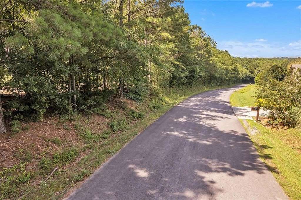 21 Acres of Agricultural Land for Sale in Chatsworth, Georgia