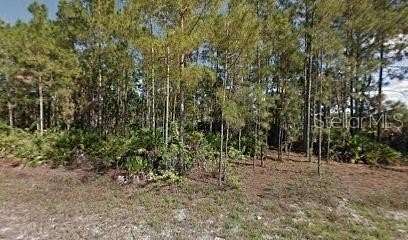 0.23 Acres of Residential Land for Sale in Lehigh Acres, Florida