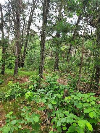 3.16 Acres of Residential Land for Sale in Nekoosa, Wisconsin