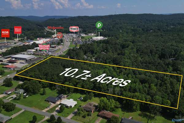 10.7 Acres of Commercial Land for Sale in Rainbow City, Alabama