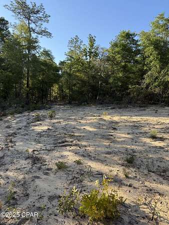 10 Acres of Residential Land for Sale in Chipley, Florida