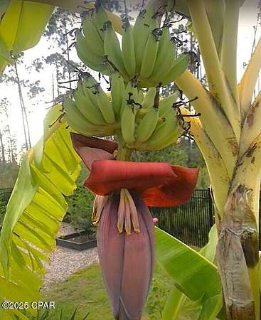 0.32 Acres of Residential Land for Sale in Panama City, Florida