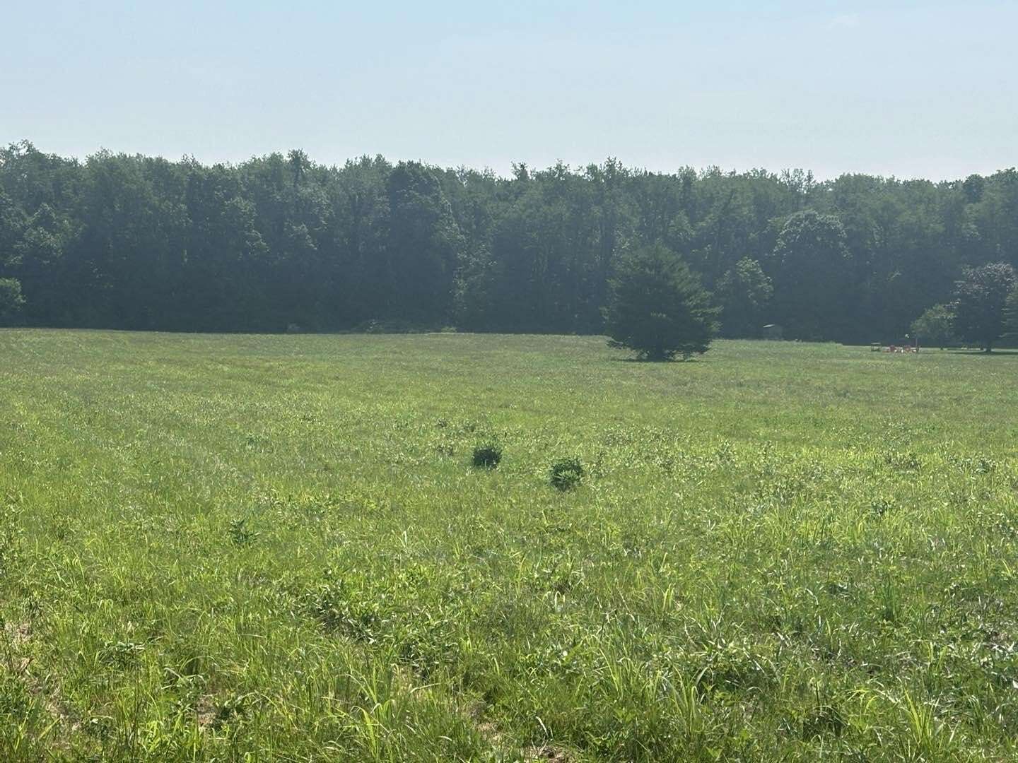 6.7 Acres of Residential Land for Sale in Lawrence, Michigan