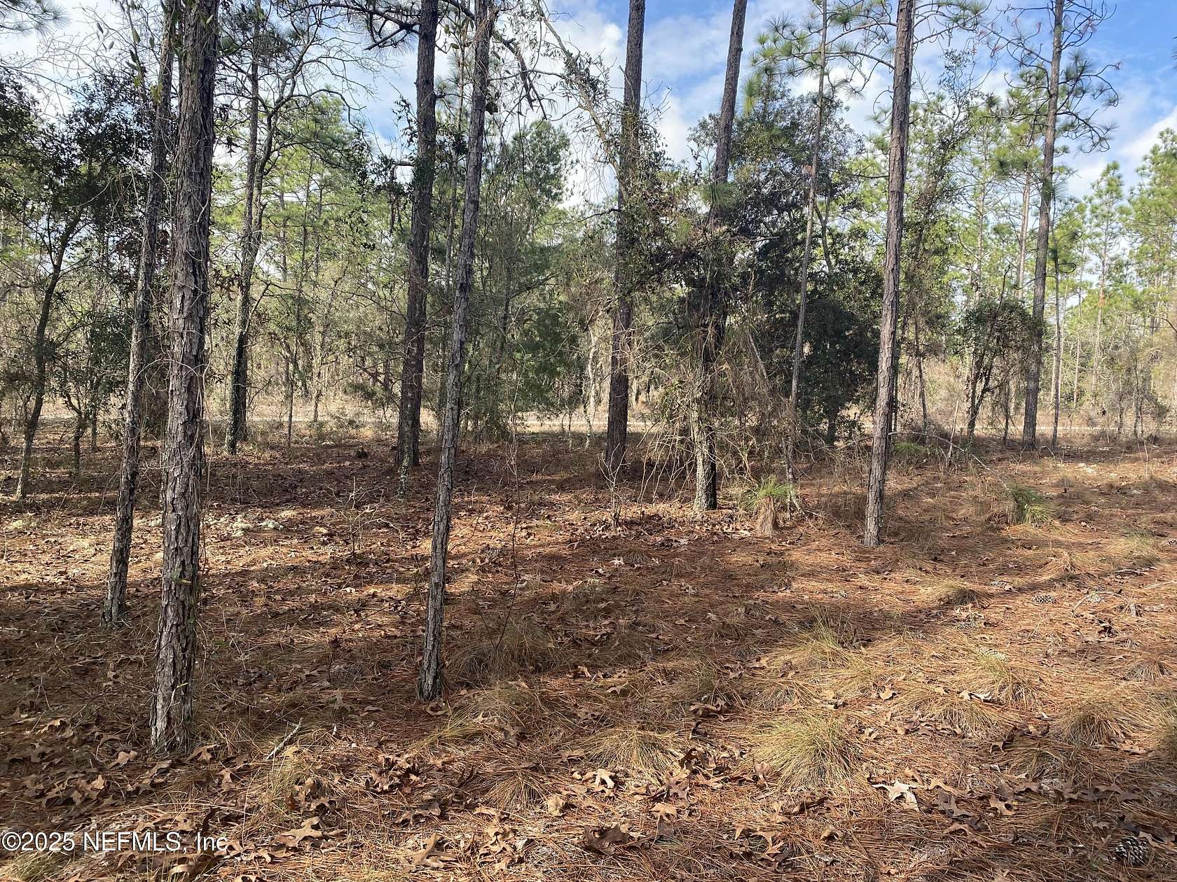 0.29 Acres of Residential Land for Sale in Dunnellon, Florida