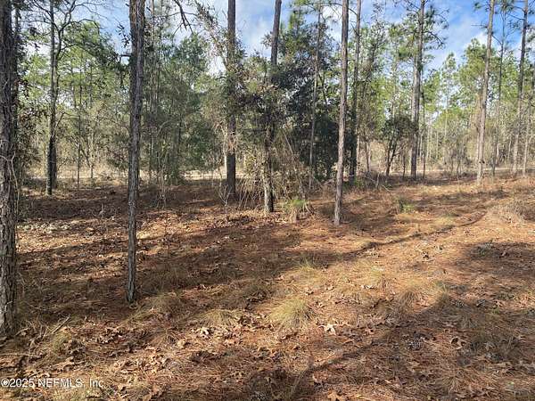 0.29 Acres of Residential Land for Sale in Dunnellon, Florida