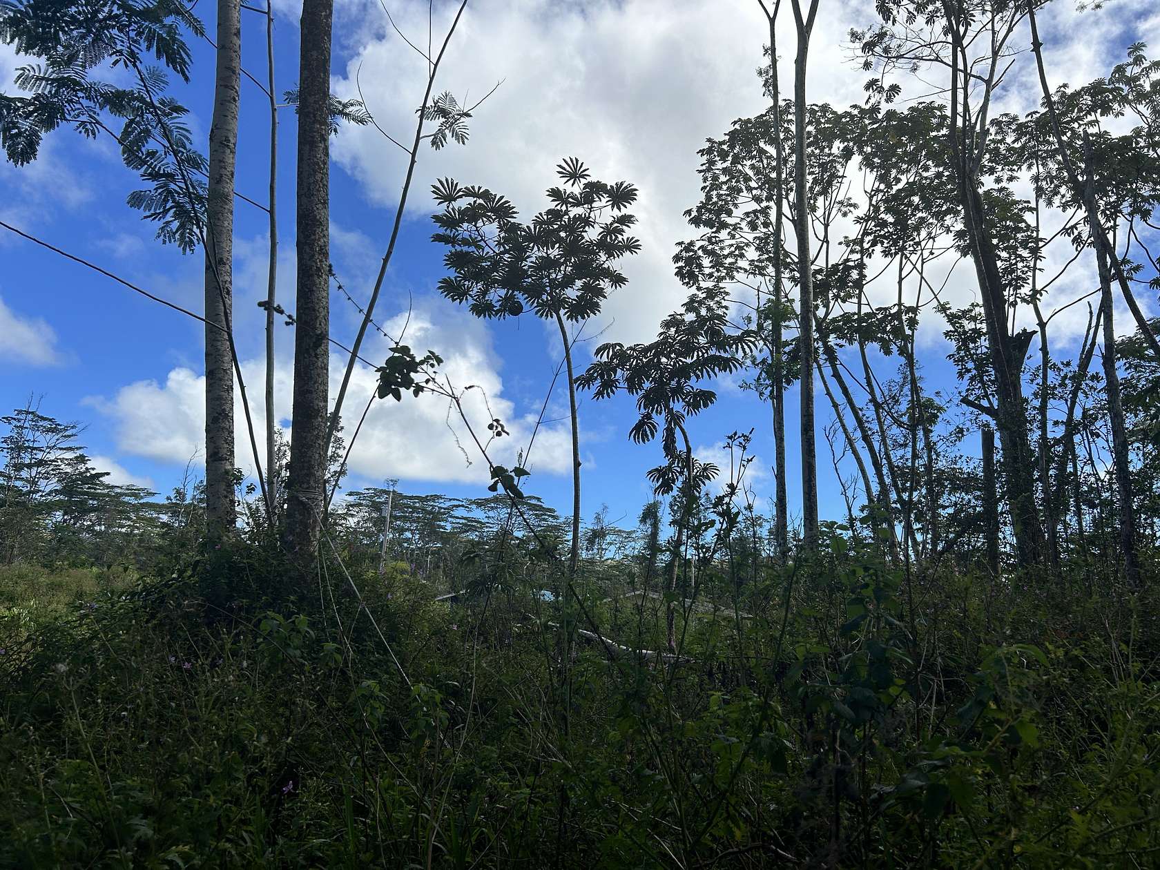 0.19 Acres of Land for Sale in Pahoa, Hawaii