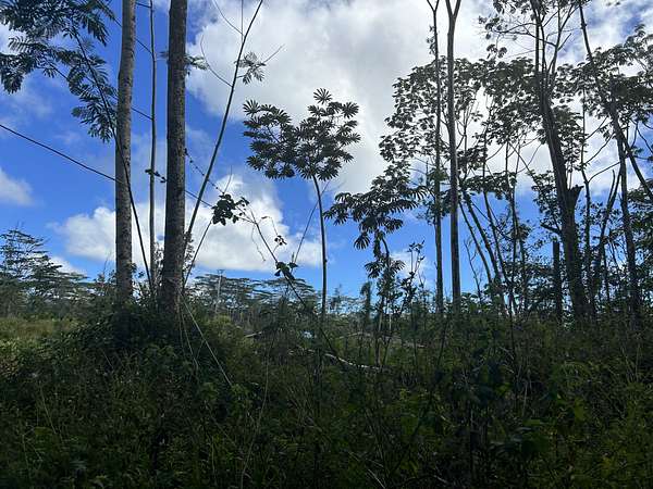 0.19 Acres of Land for Sale in Pahoa, Hawaii