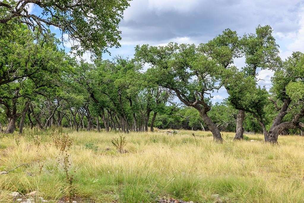 92.7 Acres of Agricultural Land for Sale in Fredericksburg, Texas