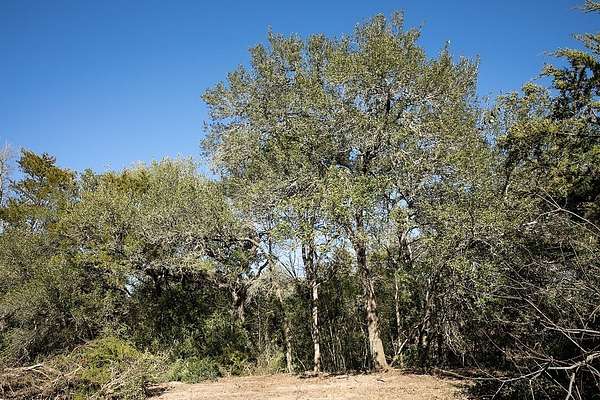 4.5 Acres of Residential Land for Sale in Burton, Texas