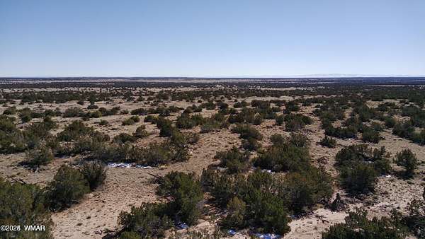 20 Acres of Recreational Land for Sale in St. Johns, Arizona