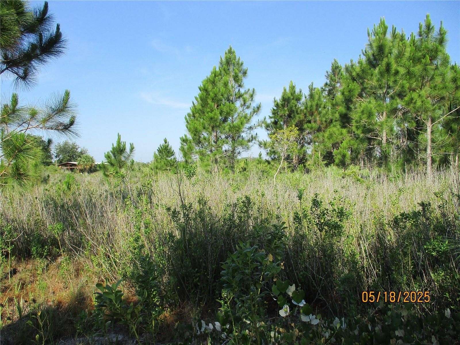 1.25 Acres of Residential Land for Sale in Okeechobee, Florida