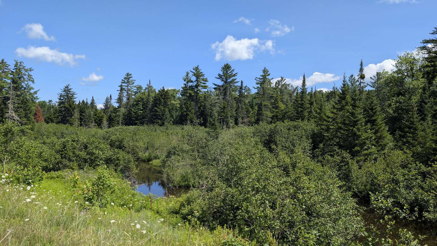 2,499 Acres of Recreational Land for Sale in Malone, New York