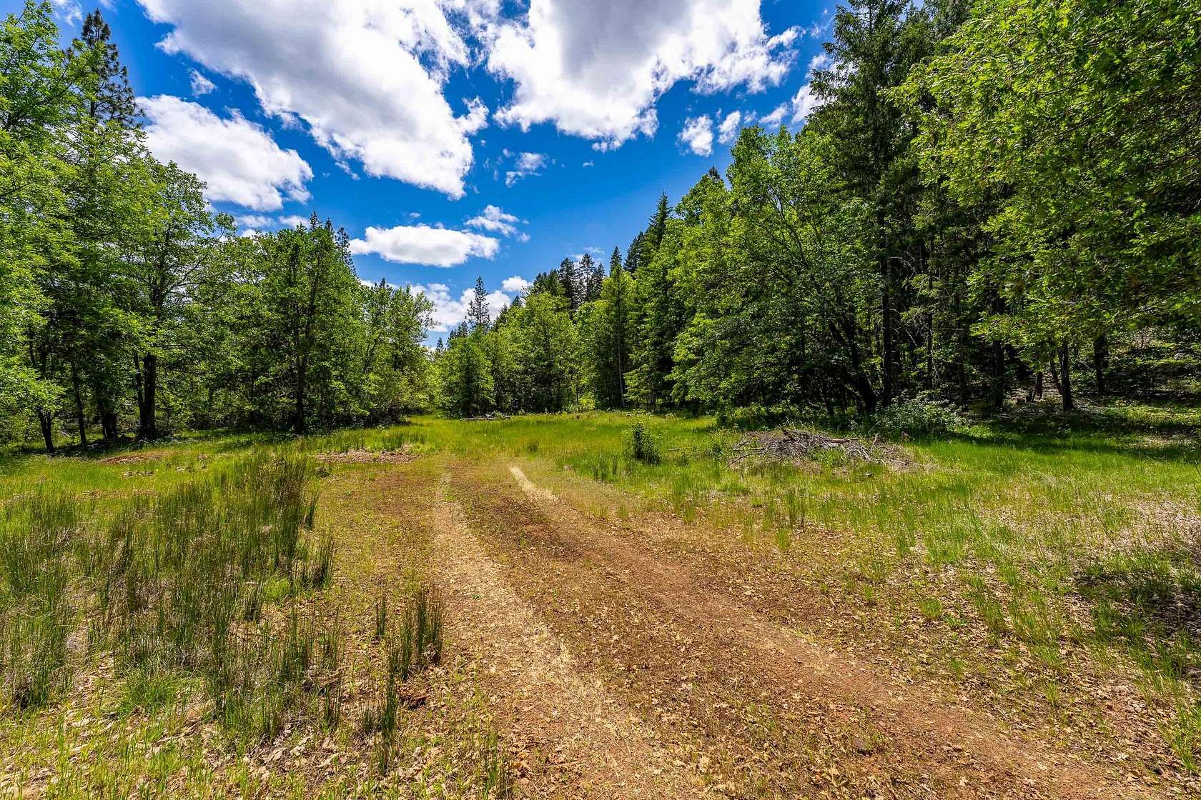 40 Acres of Land for Sale in Cave Junction, Oregon