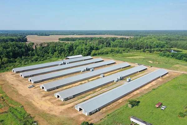 32 Acres of Land with Home for Sale in Coolidge, Georgia