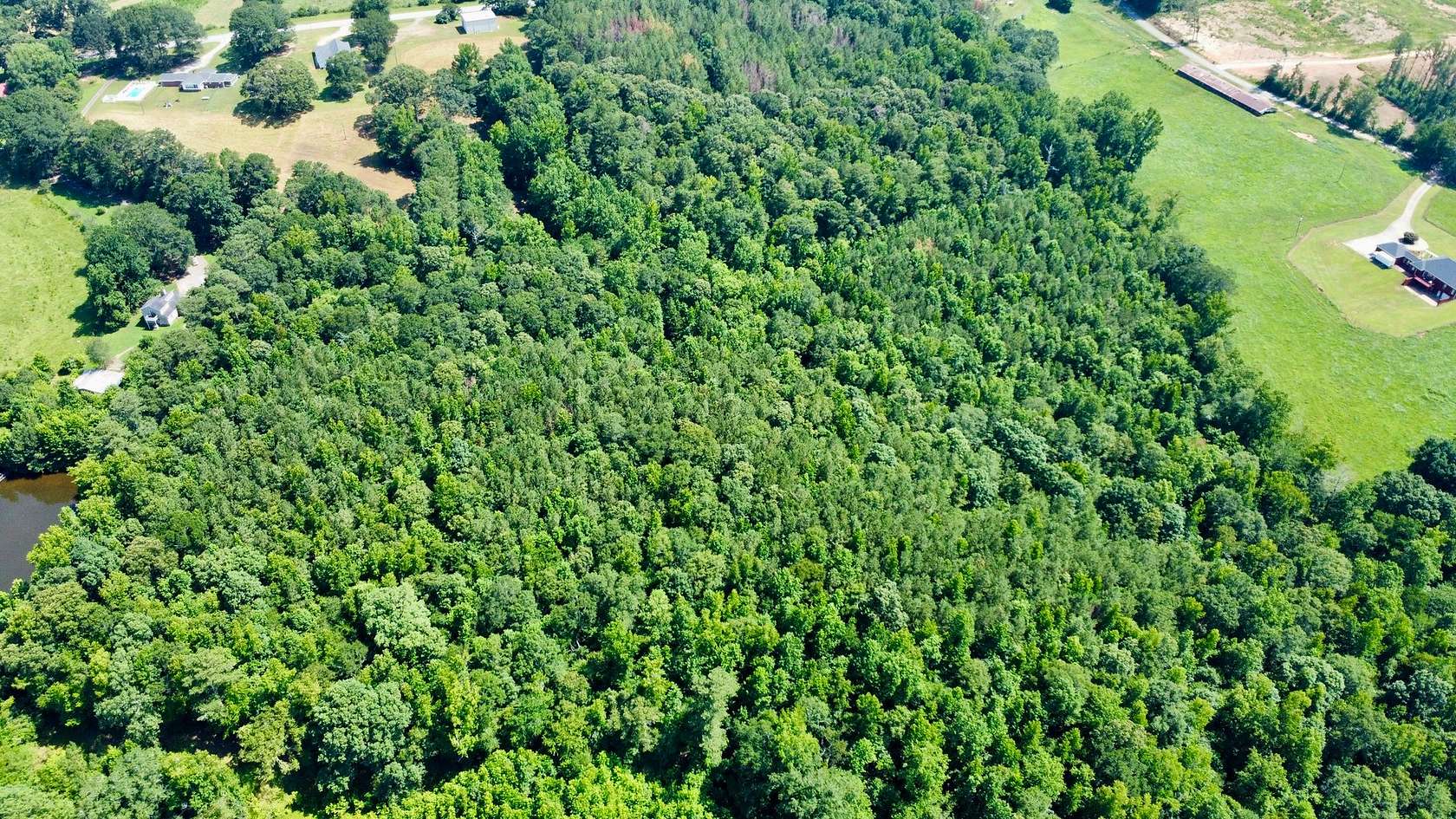 14 Acres of Land for Sale in Ranburne, Alabama