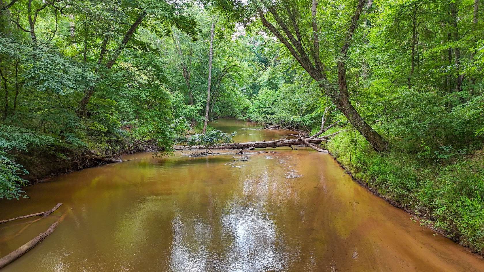 96 Acres of Recreational Land for Sale in Hamilton, Georgia