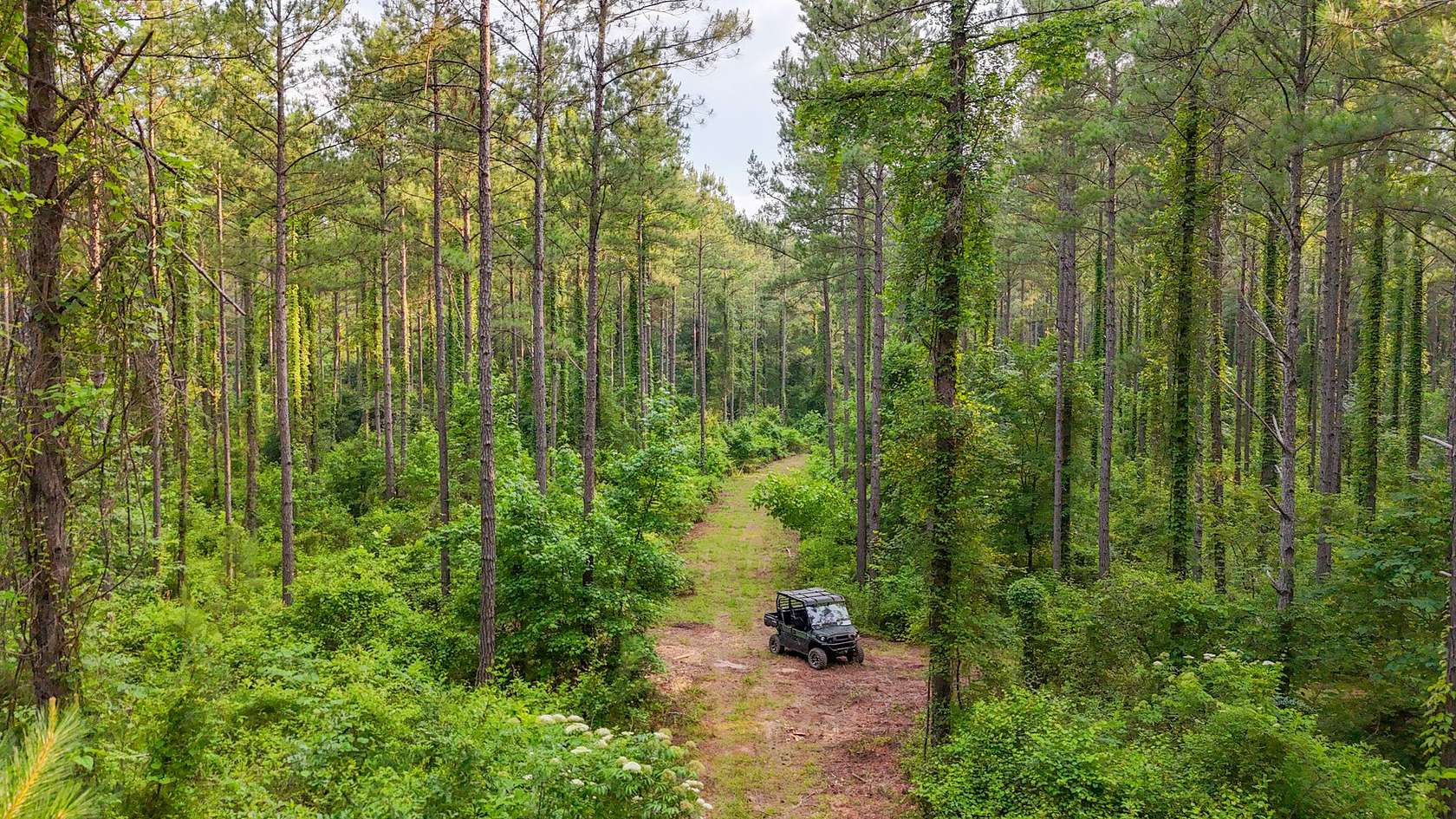 96 Acres of Recreational Land for Sale in Hamilton, Georgia