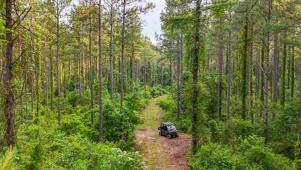 96 Acres of Recreational Land for Sale in Hamilton, Georgia