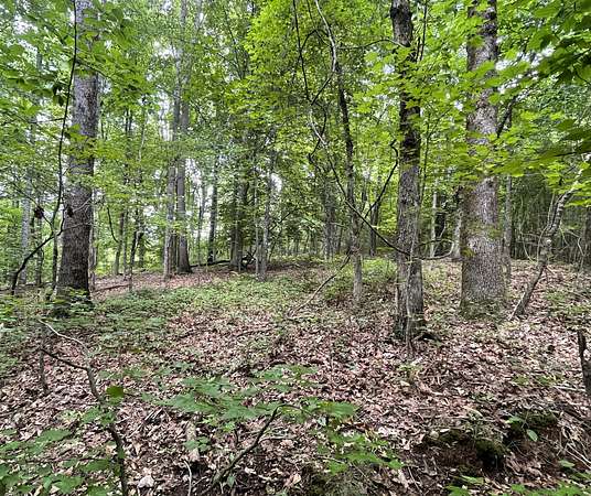 15.6 Acres of Recreational Land for Sale in Roopville, Georgia