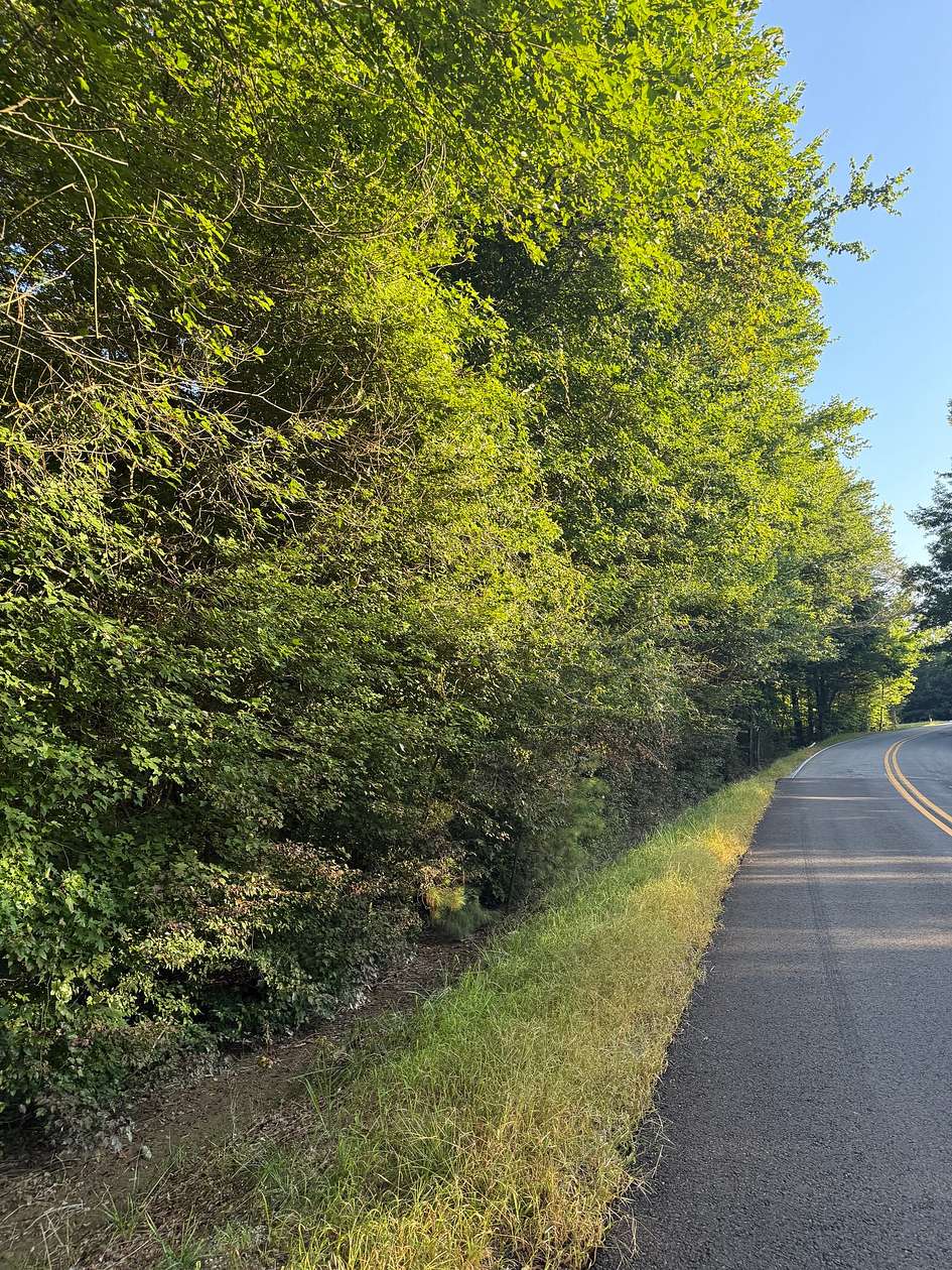 23 Acres of Recreational Land for Sale in Walnut Grove, Alabama